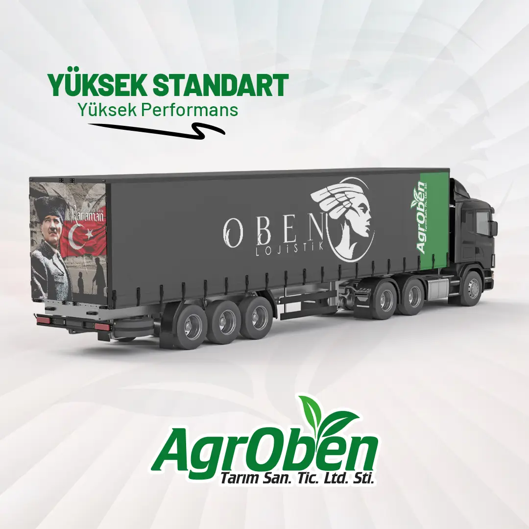 481295127_948359420741441_1494302779349109789_n