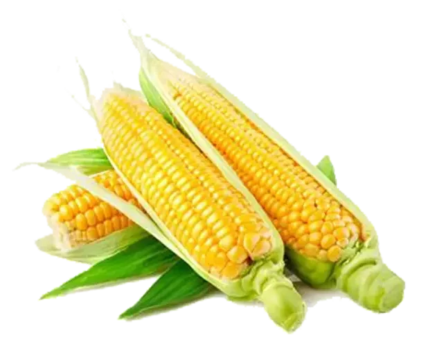 Agroben