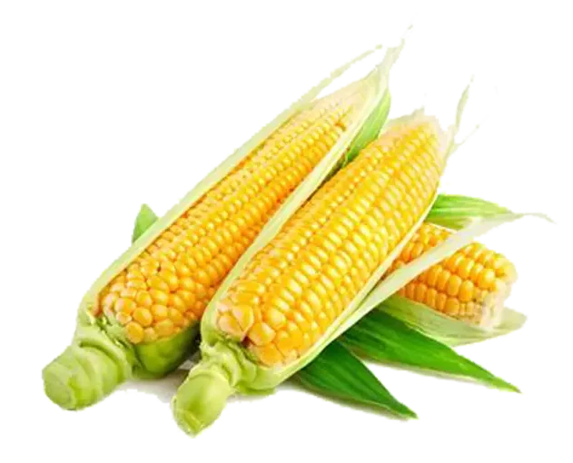 Agroben