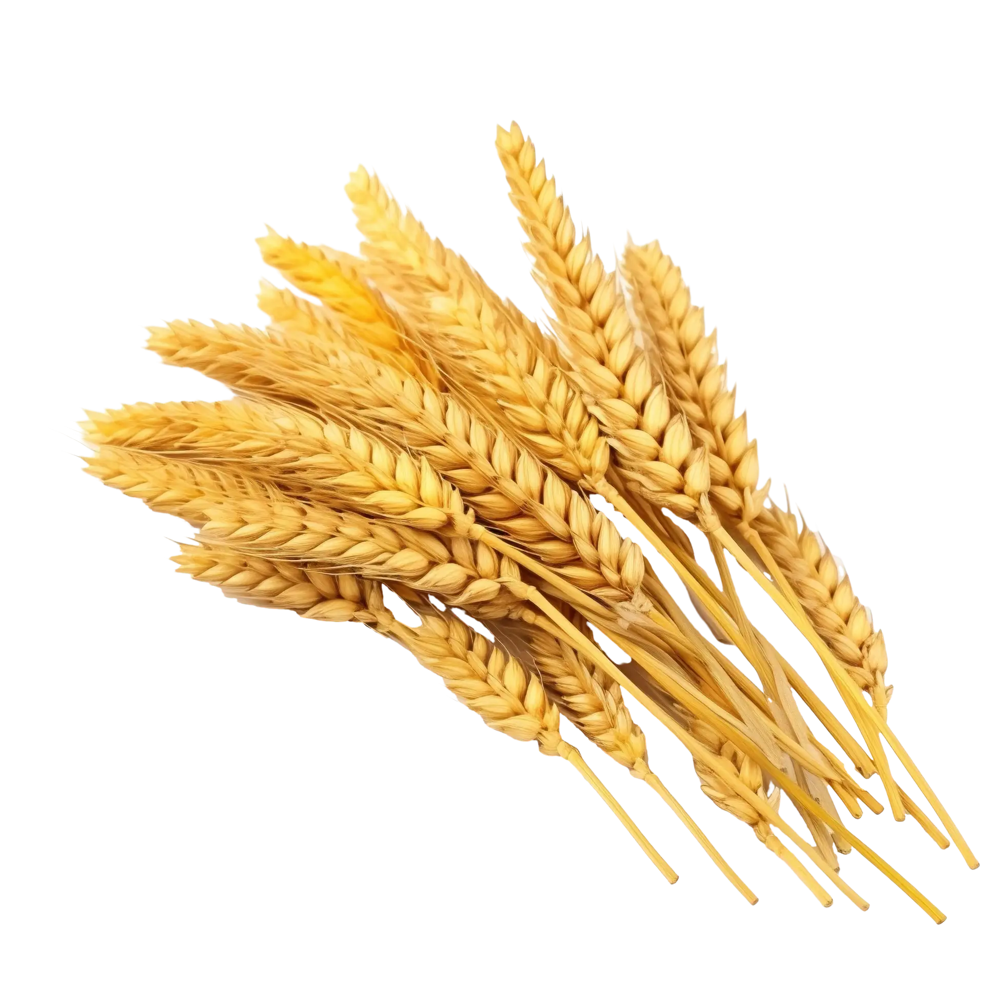 Agroben